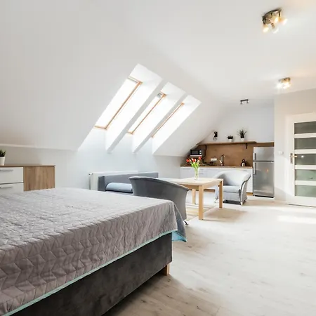 Bryza Jantar apartamenty z sauną&domki z kominkami Pokój zdjęcie